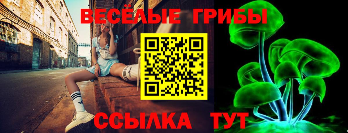 Псилоцибиновые грибы прущие грибы Ачинск